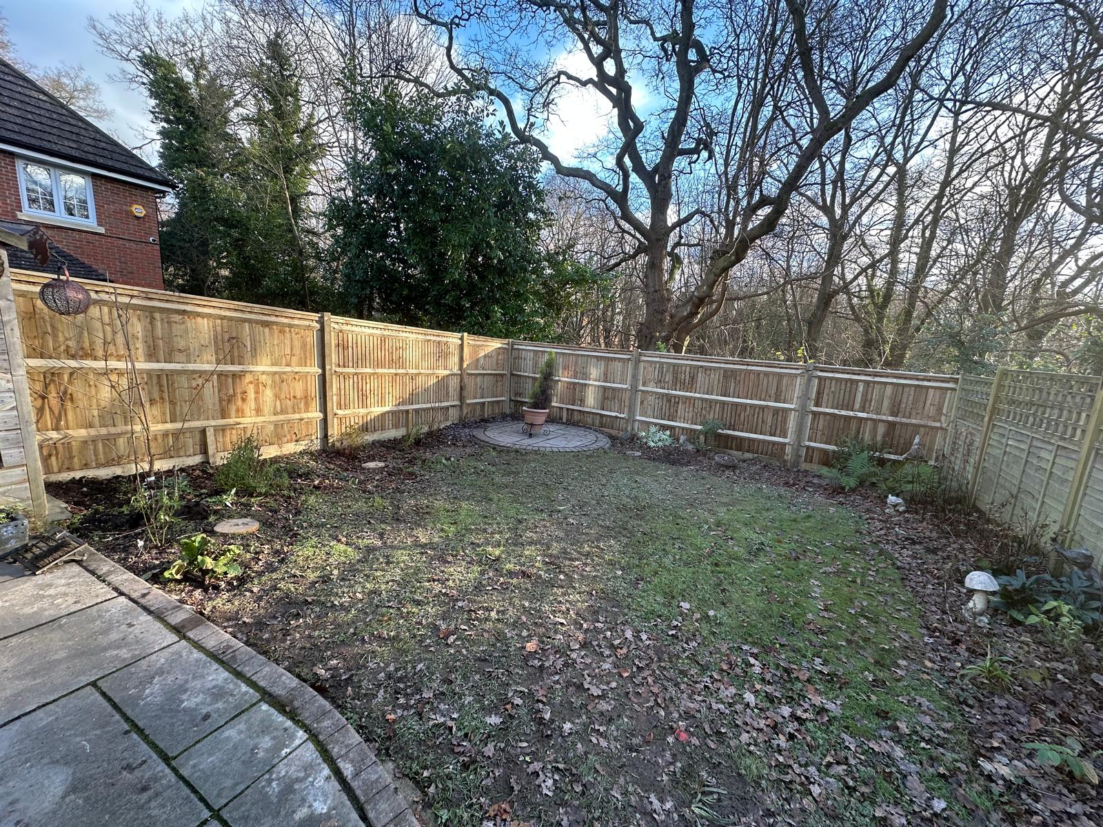 Hedge trimming and shaping by Edwoods Tree Care in Crawley