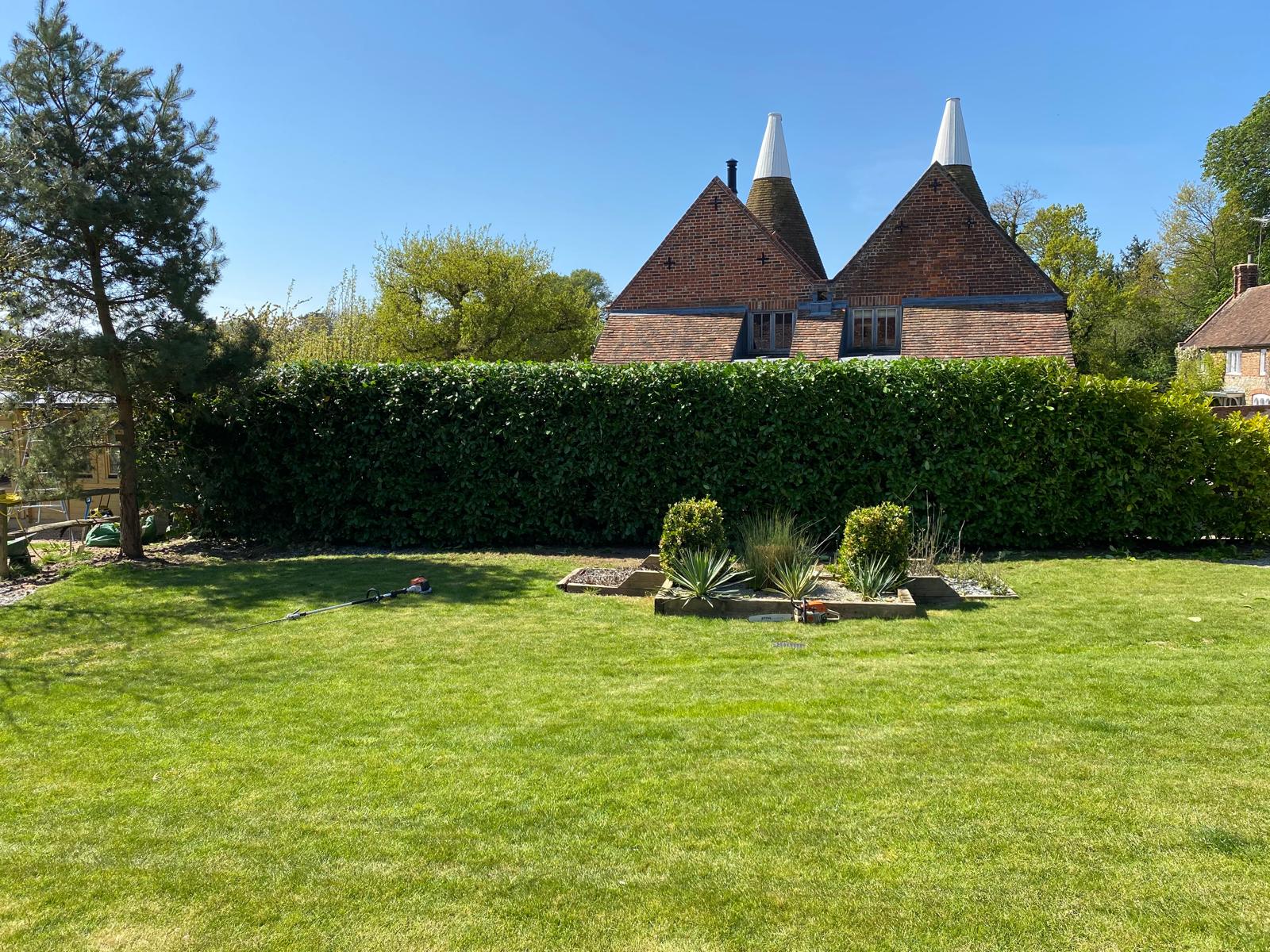 Professional arborist services by Edwoods Tree Care